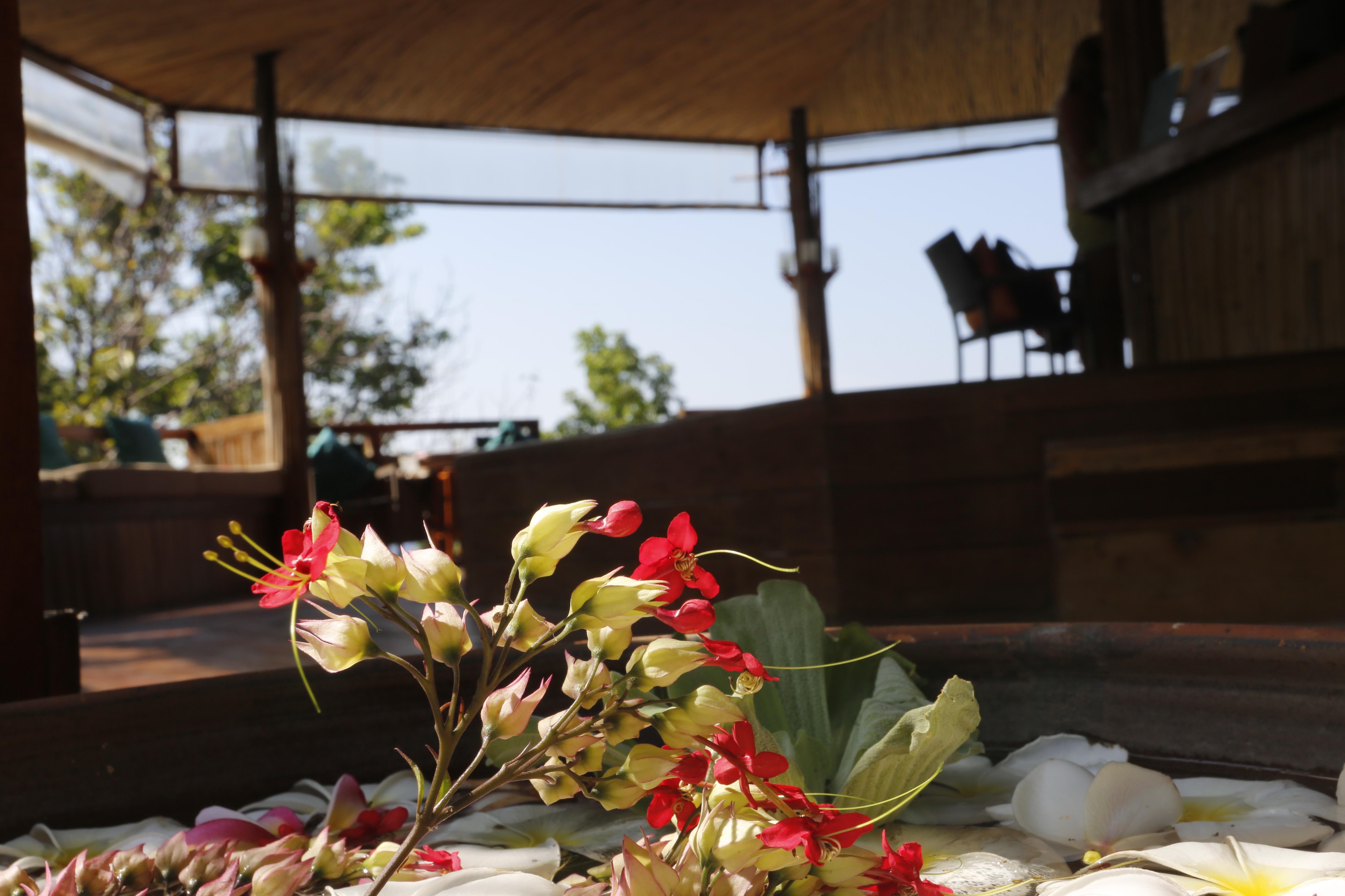 Koh Tao Hillside Resort Экстерьер фото